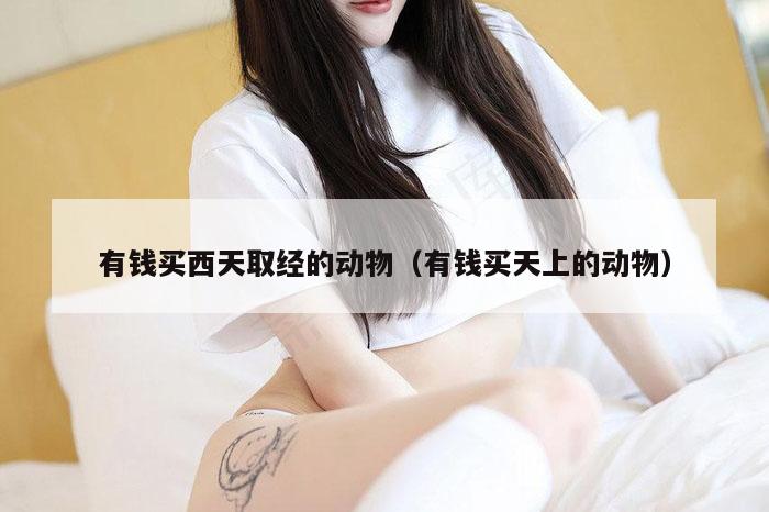 有钱买西天取经的动物(有钱买天上的动物)