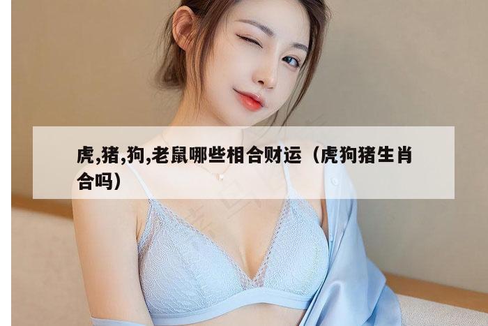 虎,猪,狗,老鼠哪些相合财运(虎狗猪生肖合吗)